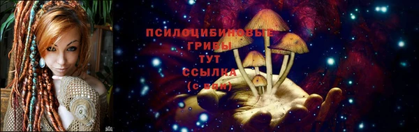 синтетический гашиш Алексеевка