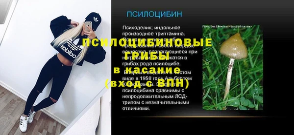 синтетический гашиш Алексеевка
