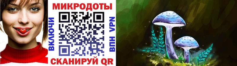 дарк нет формула  Ирбит  Галлюциногенные грибы MAGIC MUSHROOMS  хочу наркоту 