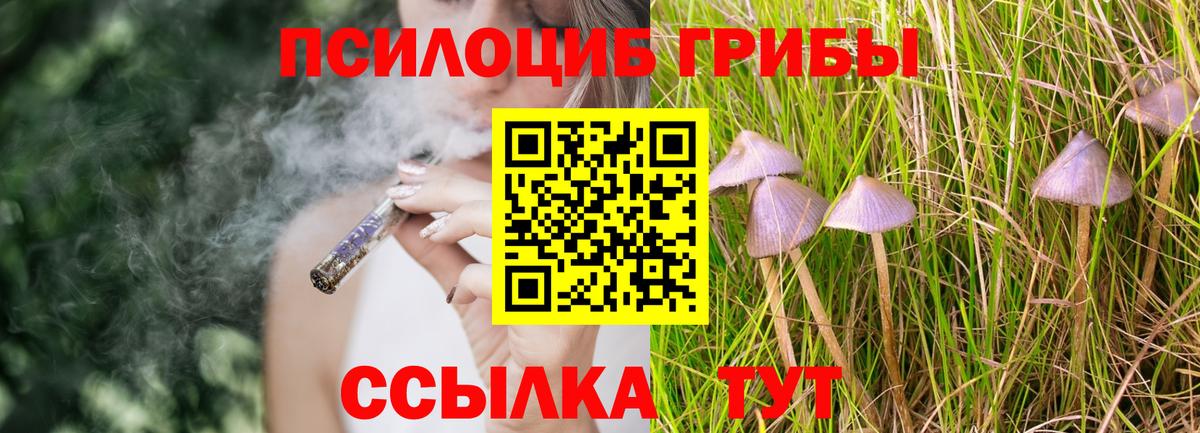 Ирбит  Псилоцибиновые грибы Cubensis  Галлюциногенные грибы MAGIC MUSHROOMS  Вход с VPN 